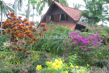 Coconut River 34